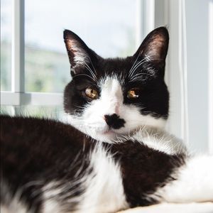 Meet your Posher, Kate